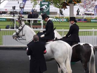 Side-saddle 1.jpg