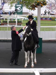 Side-saddle 2.jpg