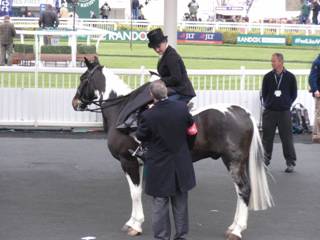 Side-saddle 3.jpg