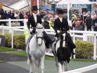 Side-saddle 4.jpg