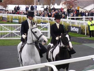 Side-saddle 5.jpg