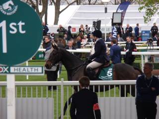 ROR 1.jpg
