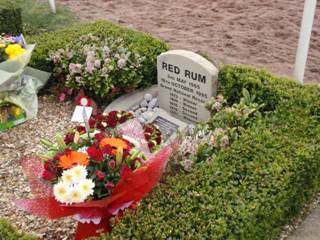Red Rum 2.jpg