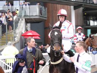 d Race 1 Who Dares Wins.jpg