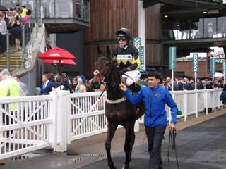 h Race 1 Storm Home.jpg