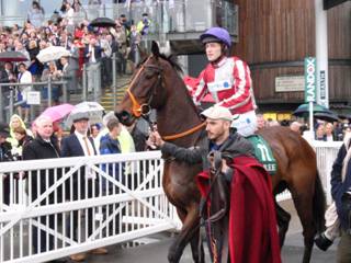j Race 1 Grand Partner.jpg