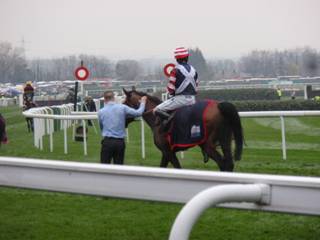 v Race 1 Wilde Blue Yonder.jpg