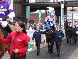 e race 2 Distingo.jpg