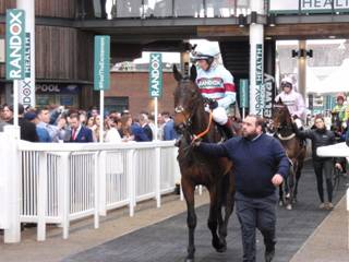 f race 2 Lalor.jpg