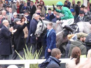 z4 race 3 winner Terrefort.jpg