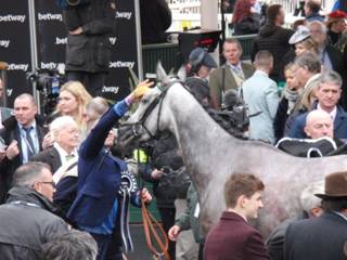 z7 race 3 winner Terrefort.jpg