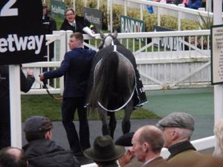 z13 race 3 winner Terrefort.jpg