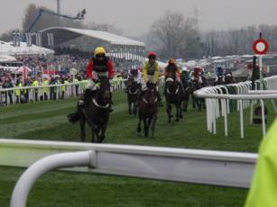 3 race 5 the finish 2.jpg