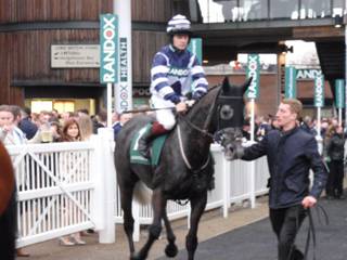 k Race 7 Al Dancer.jpg