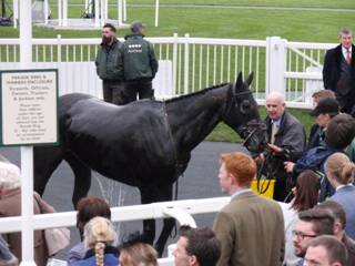 x Race 7 4th Al Dancer.jpg