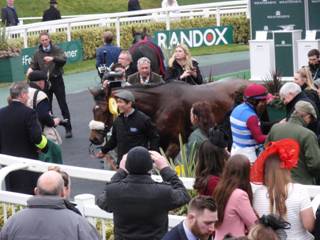 y Race 7 winner Portrush Ted.jpg