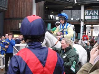 d race 5 Greybougg.jpg