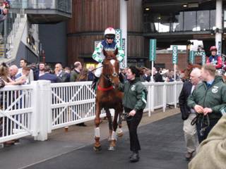h race 5 Top Gamble.jpg
