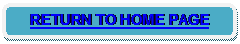 Rounded Rectangle: RETURN TO HOME PAGE