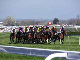Race 1 p race.jpg