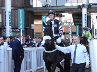 Race 2 l Bordeaux Bill.jpg