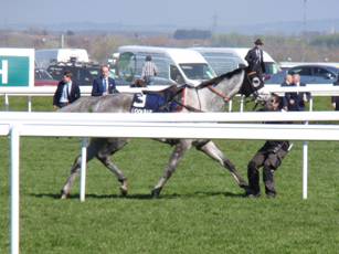 Race 3 h Politologue.jpg