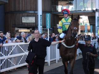 Race 4 j Sizing Codelco.jpg