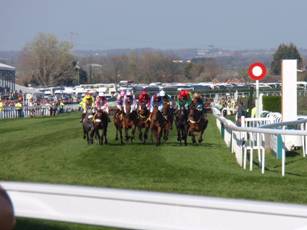 8 race 5.jpg