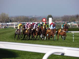 9 race 5.jpg