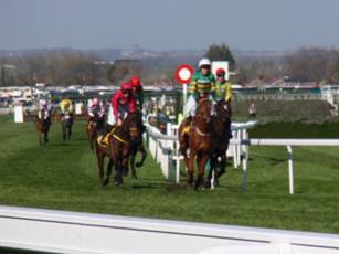 10 race 5.jpg