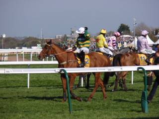 12 race 5.jpg