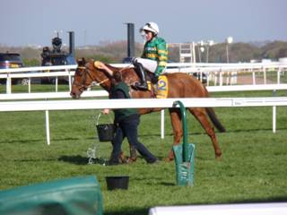 13 race 5.jpg