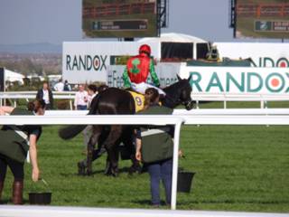 14 race 5.jpg