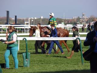 15 race 5.jpg
