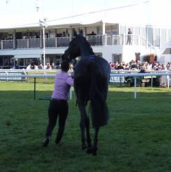 23 race 5.jpg