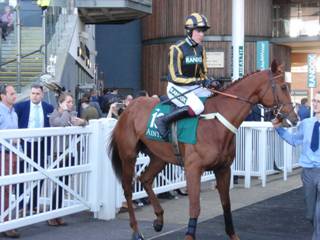 Race 7 c So Celebre.jpg