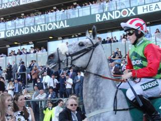 Race 7 f The Grey Taylor.jpg