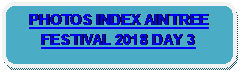 Rounded Rectangle: PHOTOS INDEX AINTREE FESTIVAL 2018 DAY 3