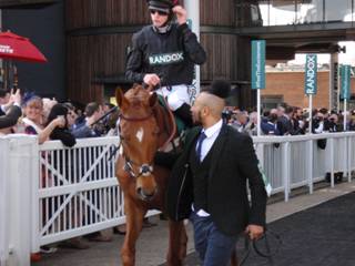 Race 1 d Jaleo.jpg