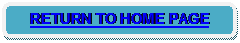 Rounded Rectangle: RETURN TO HOME PAGE
