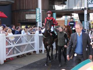 Race 1 o Sir Mangan.jpg