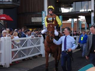 Race 1 q The Mighty Don.jpg