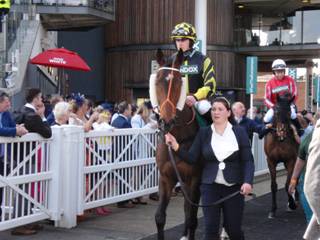 Race 1 s Golan Fortune.jpg