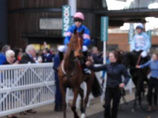 Race 2 j Aye Aye Charlie.jpg