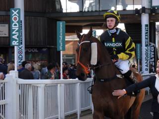Race 4 a Holly Bush Henry.jpg