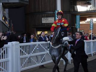 Race 7 a Dear Sire.jpg
