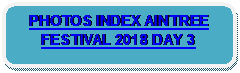 Rounded Rectangle: PHOTOS INDEX AINTREE FESTIVAL 2018 DAY 3