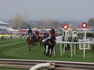 Race 5 z4.jpg