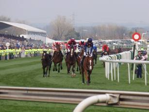 Race 5 z5.jpg