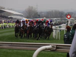Race 6 n.jpg
